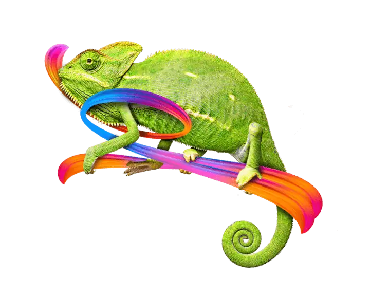 Performance Marketing Services in Vadodara