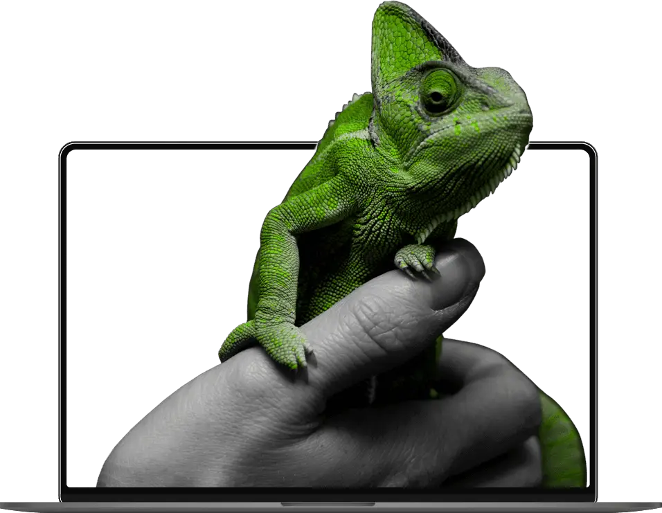 website development in India